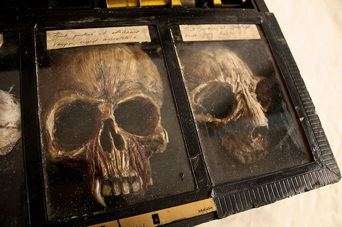 mysterious-skulls-skeletons-thomas-theodore-merrylin-home-london-11.jpg