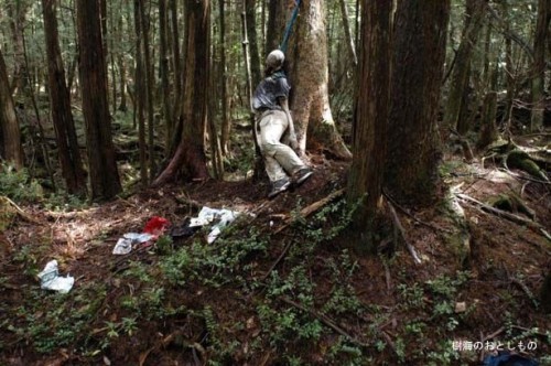 aokigahara-forest-of-suicides-015.jpg