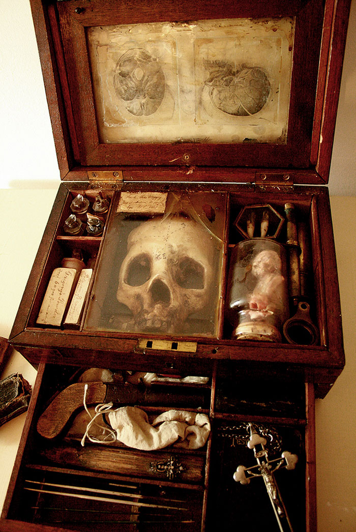 mysterious-skulls-skeletons-thomas-theodore-merrylin-home-london-12.jpg