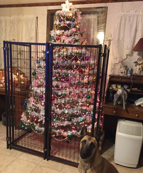 protecting-christmas-tree-from-dogs-cats-pets-34-585a917f50d3b_605.jpg