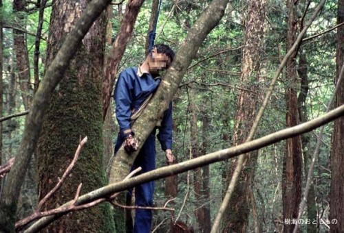 aokigahara-forest-of-suicides-013.jpg
