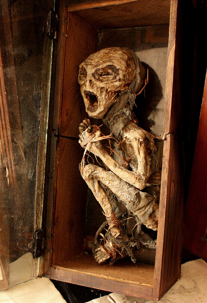 Ezeket a túlvilági csontvázakat egy londoni árvaház alatt találták