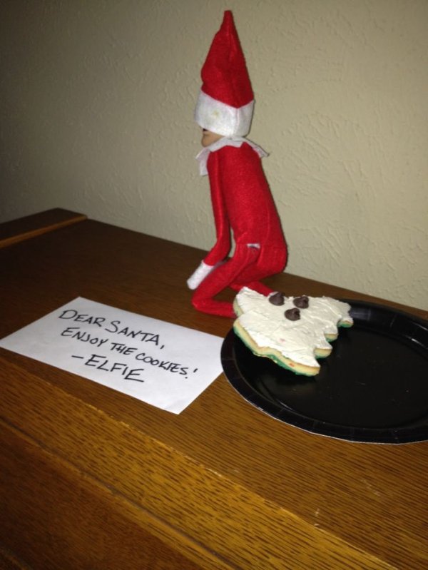 christmas-elf-on-the-shelf-humor-shocking13.jpg