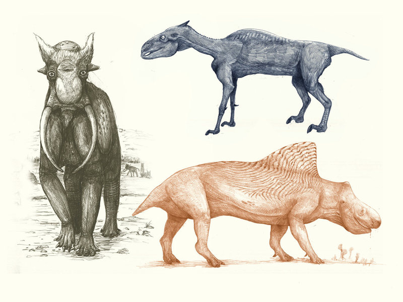 Szörnyeknek ábrázolhatják a ma élő állatokat a jövő paleontológusai