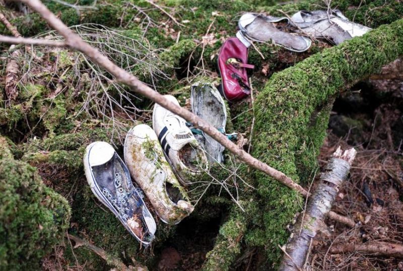 the-haunted-forest-aokigahara-in-japan-9-800x539.jpg