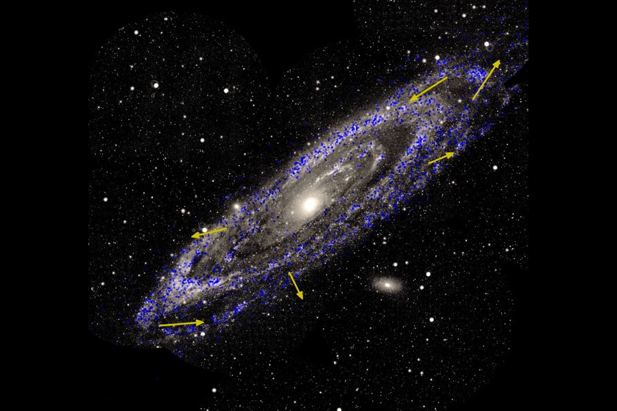 andromeda-stellar-motions-600px.jpg