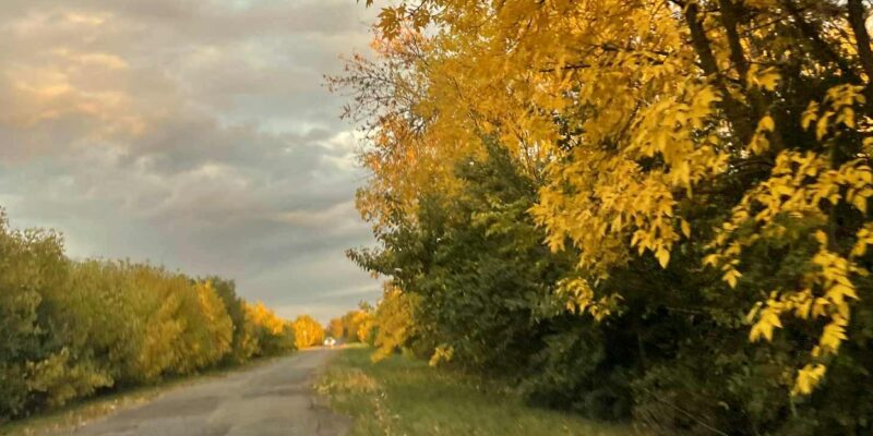 1019. Kinek jó, kinek nem…