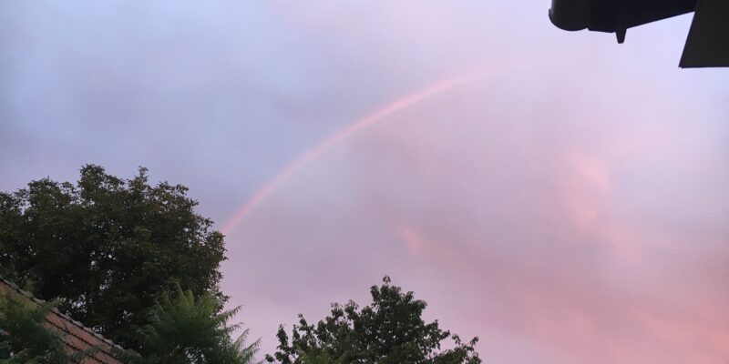 1041. Élet a választások után