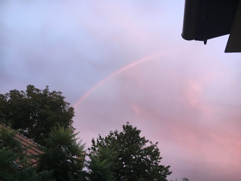 1041. Élet a választások után