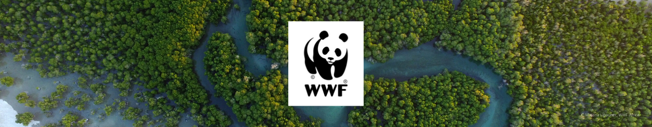 WWF blog
