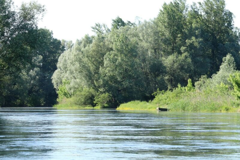 Mi fán terem a folyók újjáélesztése?